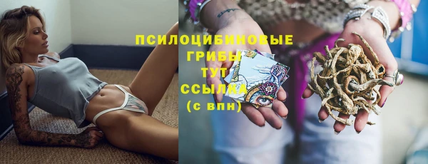 а пвп мука Арсеньев