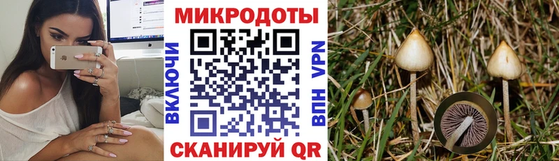 купить наркоту  Суджа  Галлюциногенные грибы прущие грибы 